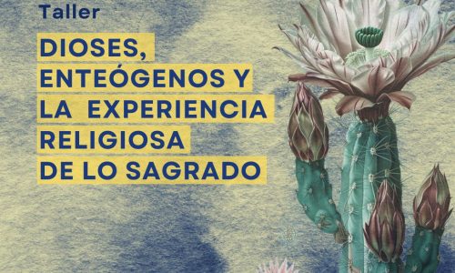 miniatura del curso